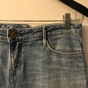 Earnest Sewn Denim Skirt